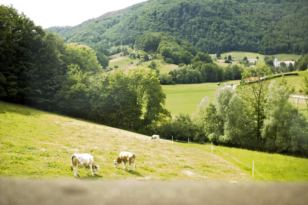 포드체트르테크 Tourist Farm Mraz 빌라 외부 사진